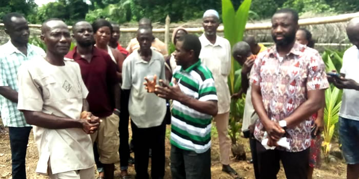 Akrofuom Farmers get 10000 coconut seedlings to support 1D1F programme 2022