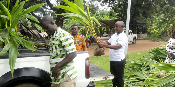 SODA receives coconut and mango seedlings from TCDA 2022