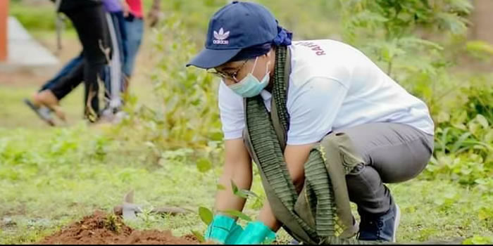 Sagnarigu MCE in collaboration with Green Republic project plants 1000 mahogany trees 2020