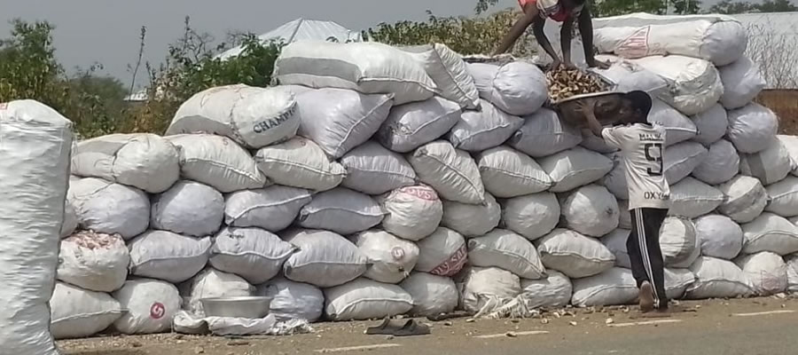 Farmers in Oto Region. . .