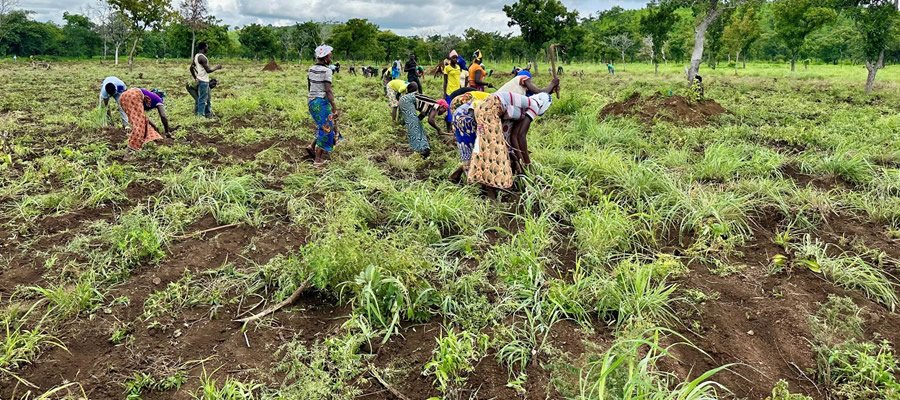 Building Prosperity Through Farming. . .