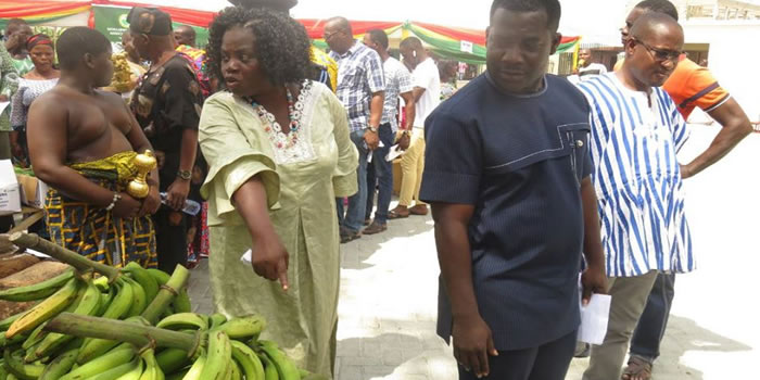 Ga South - 35th Farmers Day Celebration 2019