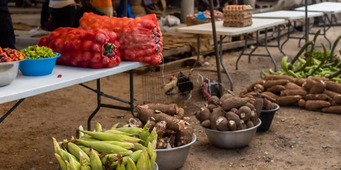 Ga west  37th  Farmers Day Celebration 2021