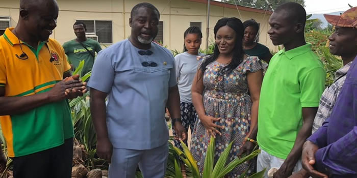 New Juaben South MCE hands over thousands of coconut seedlings to farmers 2022