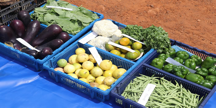 Old Tafo 36th Farmers Day Celebration 2020