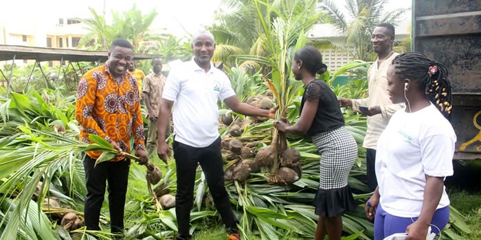 SODA receives coconut and mango seedlings from TCDA 2022