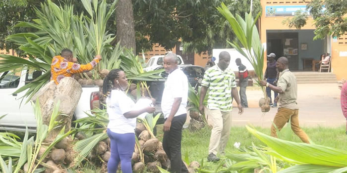 SODA receives coconut and mango seedlings from TCDA 2022