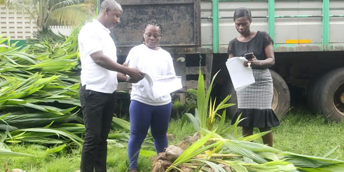 SODA receives coconut and mango seedlings from TCDA 2022