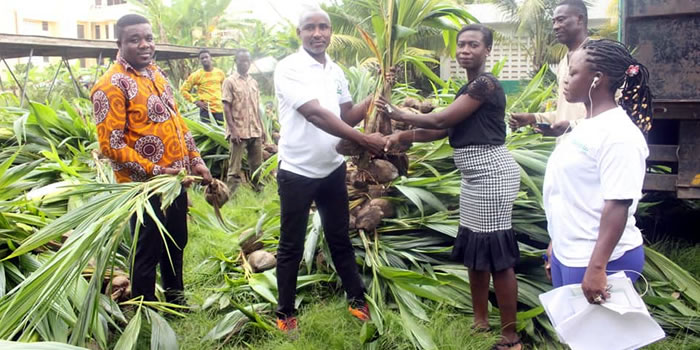 SODA receives coconut and mango seedlings from TCDA 2022