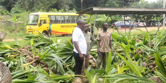 SODA receives coconut and mango seedlings from TCDA 2022