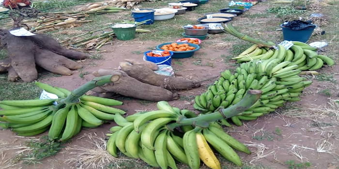 Sekyere Afram Plains  35th Farmers Day Celebration 2019