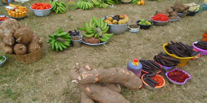 Sunyani West  35th Farmers Day Celebration 2019