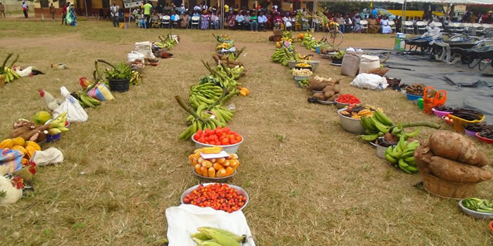 Sunyani West  35th Farmers Day Celebration 2019