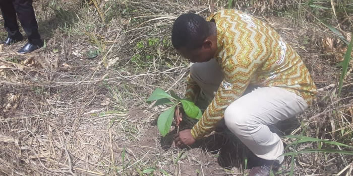 Upper West Akim Assembly launches Green Ghana project 2021